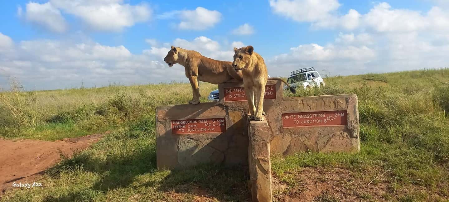 image n.10 of Nairobi National Park, Elephant Orphanage & Giraffe Centre activity in Nairobi, uploaded by supplier