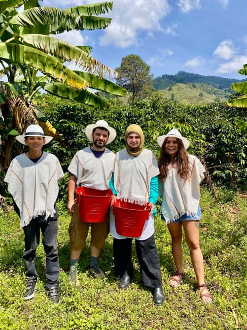 image n.20 of Medellín Coffee Farm Tour with Trolley and Cable Car Ride activity in Medellin, uploaded by supplier