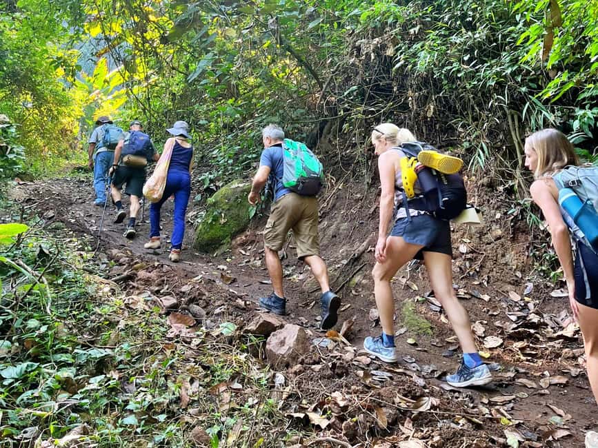 image n.2 of From Chiang Mai: High Mountain Day Trek activity in Chiang Mai Province, uploaded by supplier