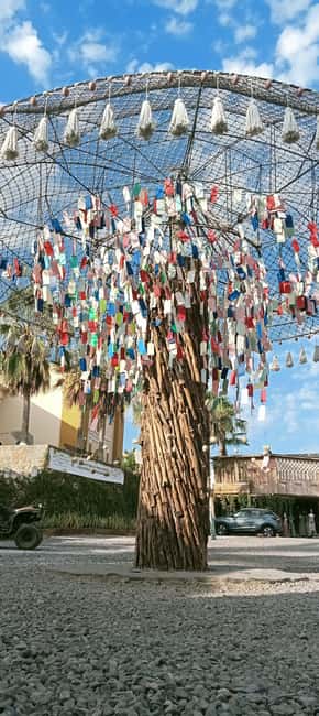 image n.16 of Incredible Private Tour to Todos Santos Magical Town activity in Cabo San Lucas, uploaded by supplier