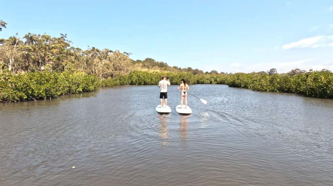 image n.6 of Noosa Stand Up Paddle & Mangrove Tunnel Tour (Self Guided) activity in Noosaville, uploaded by supplier
