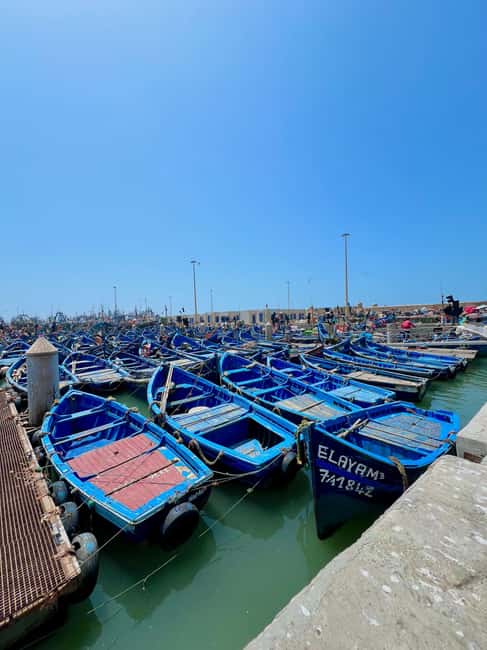 image n.26 of Day trip to Essaouira activity in Essaouira, uploaded by supplier