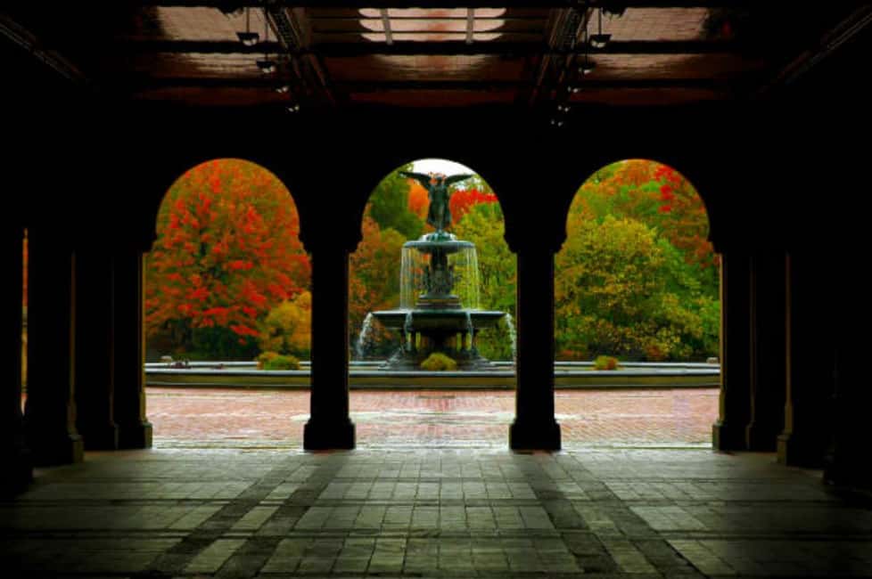 image n.15 of NYC Private Central Park Horse Carriage Ride with Guide activity in New York City, uploaded by supplier