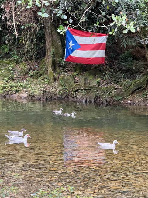 image n.24 of San Juan: El Yunque Half-Day Guided Tour with Transportation activity in Río Grande, Puerto Rico, uploaded by supplier