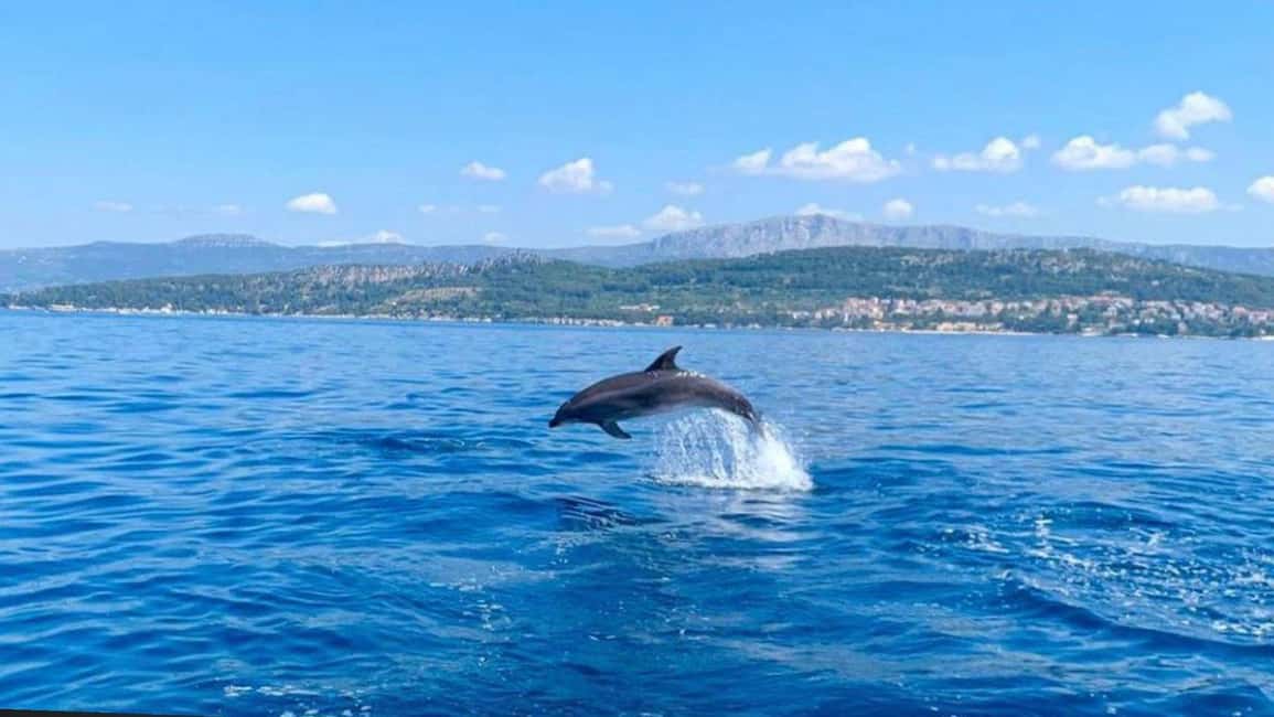 billede nr.19 af aktiviteten Split: Den Blå Lagune, Hvar og 5 øer – bådtur med en lille gruppe i Hvar by, uploadet af udbyder