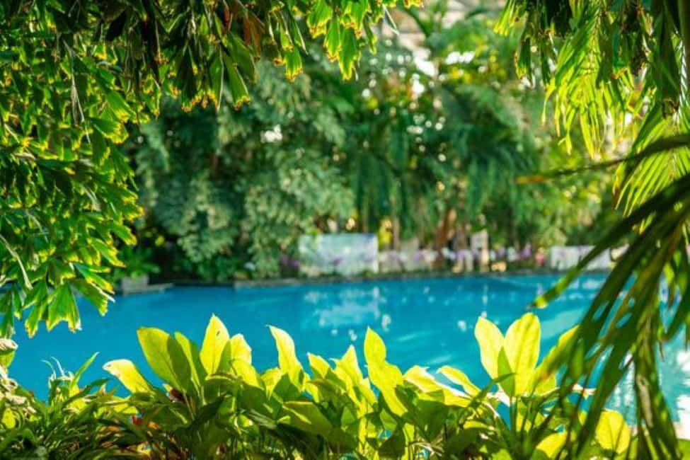 image n.7 of Bucharest: All Day Therme with Elysium Experience activity in Balotesti, uploaded by supplier