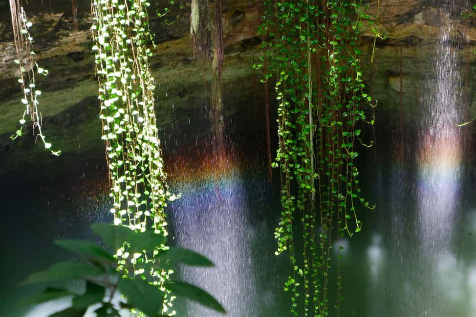 image n.3 of Yucatan: Ek Balam Ruins, Valladolid Market and Cenote Tour activity in Yucatan Peninsula, uploaded by supplier