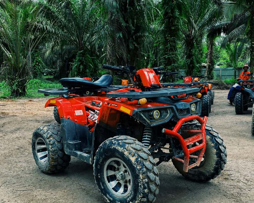 image n.16 of Krabi: 1-Hour ATV Adventure Through Beautiful Nature activity in Krabi, uploaded by supplier