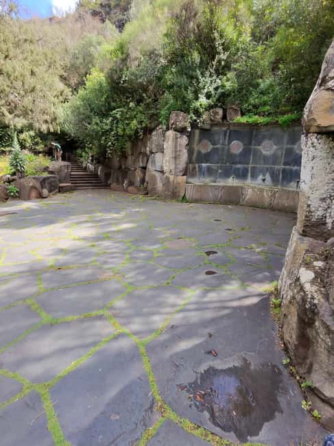 image n.52 of Private Bandama Caldera, Botanic Garden(/Wine*), Old Town activity in Las Palmas, uploaded by supplier