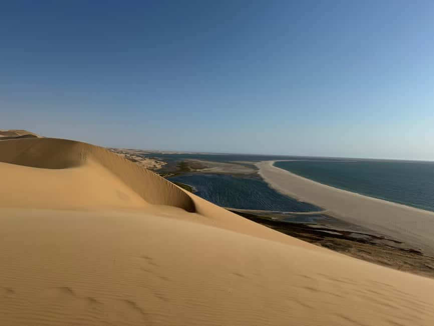 image n.47 of Walvisbay: Sandwich Harbour 4x4 Tour-Unparalleled Experience activity in Erongo, uploaded by supplier