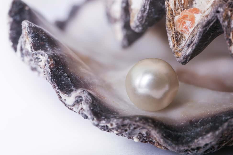 image n.2 of La Paz: Pearl Farm Experience and shop activity in La Paz, Mexico, uploaded by supplier