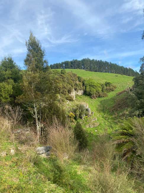 image n.10 of Auckland: Waitomo Glowworm Caves Explorer Small Group Tour activity in Waitomo, uploaded by supplier