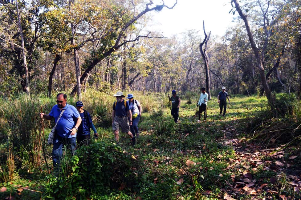 imagen n.º 4 de Desde Katmandú/Pokhara: safari por la selva de Chitwan de 2, 3 o 4 días. actividad en Pashchimanchal, Nepal, subida por el proveedor