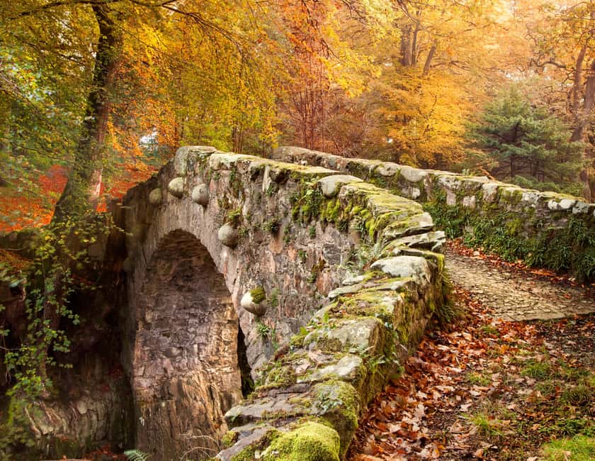 imagem n.11 de Faz uma caminhada pela floresta de Tollymore: Game of Thrones - Caminhada na Floresta de Tollymore atividade em Condado de Down, carregada pelo fornecedor