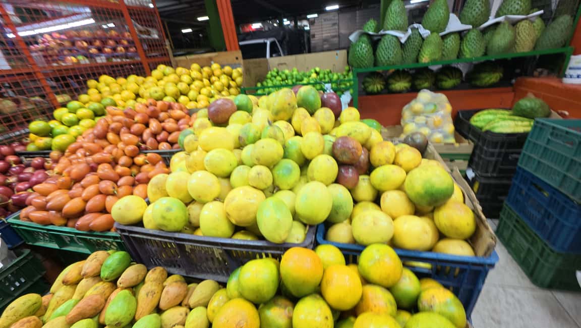 image n.20 of Medellín: Guided Exotic Fruits Tour activity in Medellin, uploaded by supplier