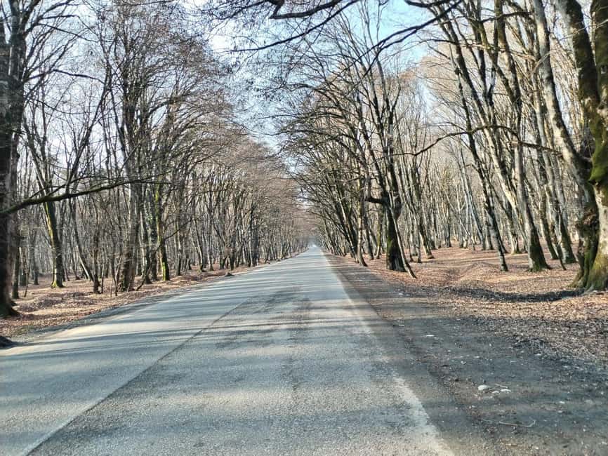 bild nr.33 av 2 dagars rundtur i Shamakhi, Lahij, Gabala och Sheki aktivitet i Absheron, uppladdad av arrangören