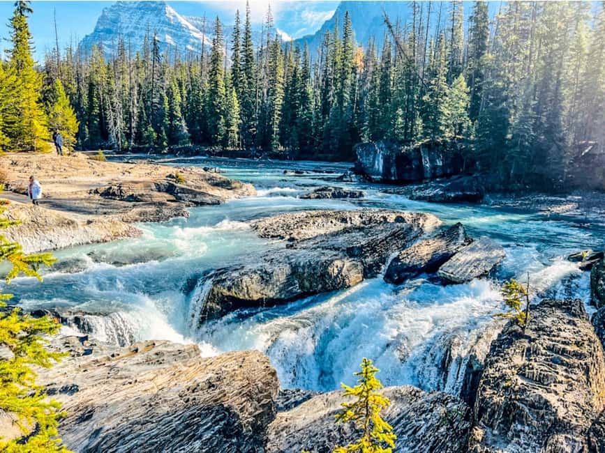image n.13 of Louise, Moraine, Emerald, Peyto- 4 Lake Tour activity in British Columbia, uploaded by supplier