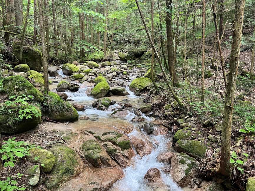 image n.8 of Nagoya: Nakasendo Trail with Cultural Experience & transport activity in Chubu Region, uploaded by supplier