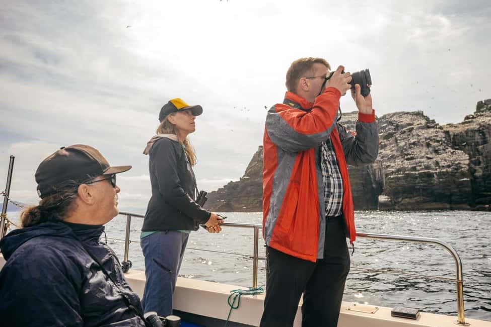 imagen n.º 10 de Skellig Michael: tour panorámico en barco por Great Skellig actividad en Munster, Irlanda, subida por el proveedor