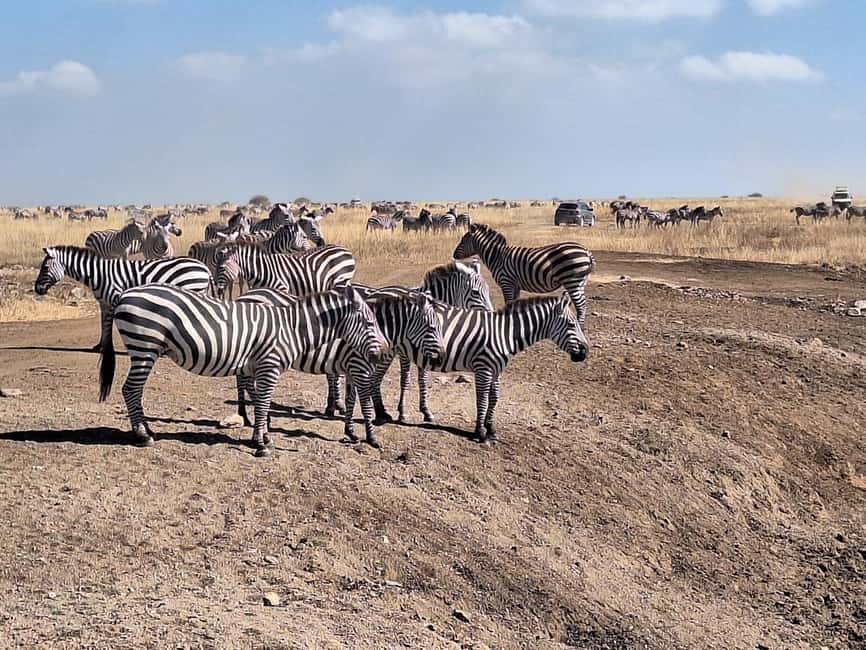 image n.31 of From Nairobi:Full Day Tour to Hell’s Gate National Park activity in Nakuru, uploaded by supplier
