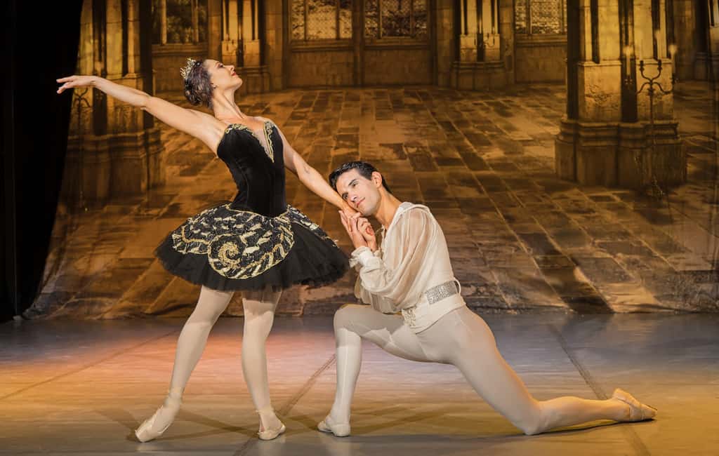 image n.8 of Prague: The Best of Swan Lake Ballet Tickets activity in Prague, uploaded by supplier