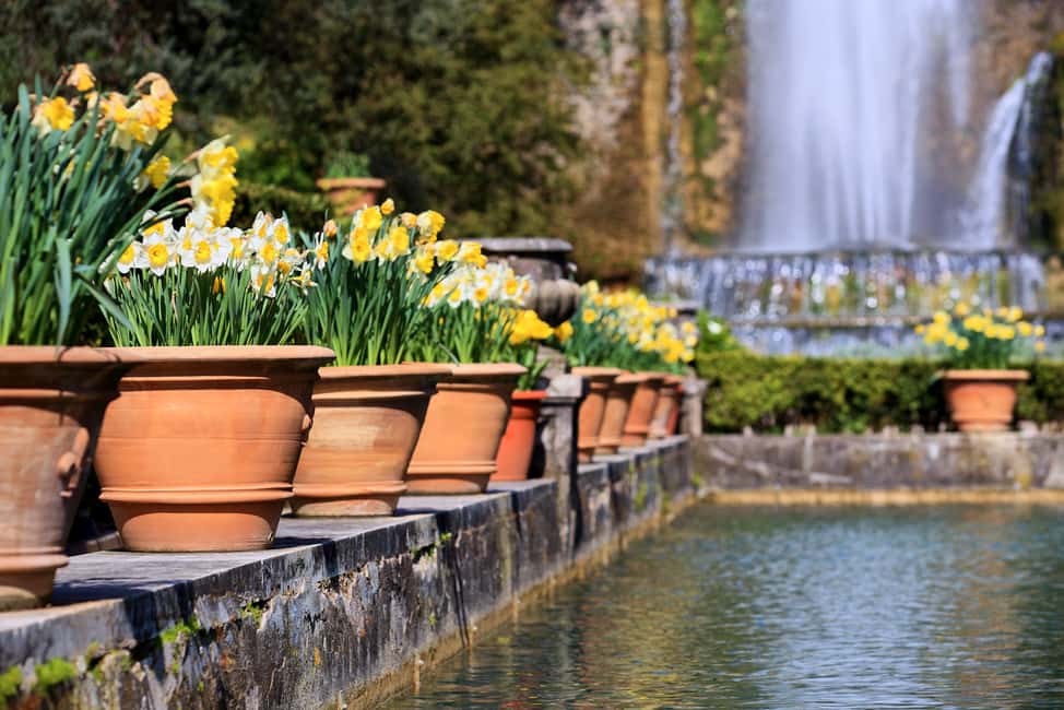 Image N°8 de Tivoli : Billet d'entrée à la Villa d'Este et App Audio Guide activité à Tivoli, Latium, publiée par le prestataire