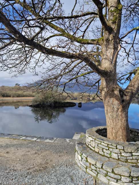 Obraz nr 28 z atrakcji Killarney: Rejs wycieczkowy na wyspę Innisfallen, jeziora Killarney w Munster, przesłany przez organizatora