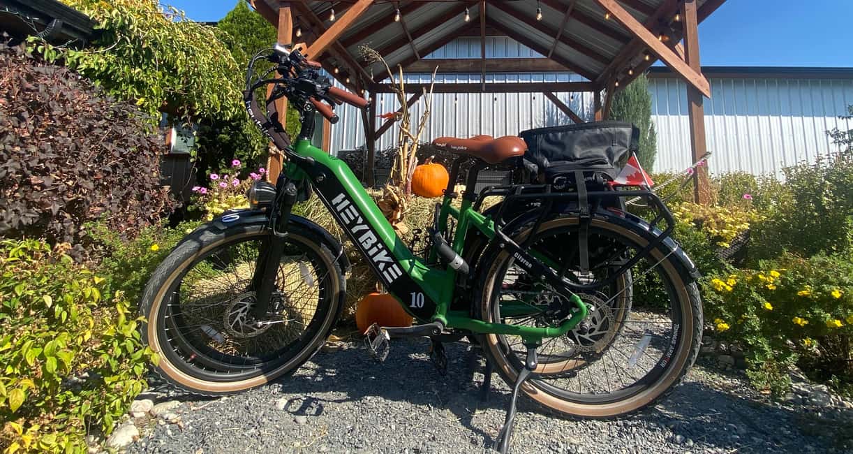 image n.11 of Kelowna: E-Bike Bee Tour w/ Tastings, Lunch, and Audioguide activity in Kelowna, uploaded by supplier