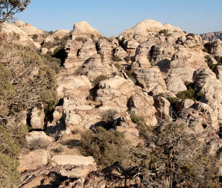 image n.1 of From Aqaba: Dana Nature Reserve Private Day Trip with Lunch activity in Aqaba, uploaded by supplier