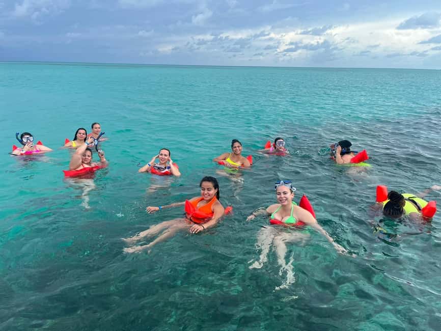 Image N°26 de Nassau : Plongée en apnée dans les récifs, tortues, déjeuner et club de plage privé activité à Bahamas, publiée par le prestataire