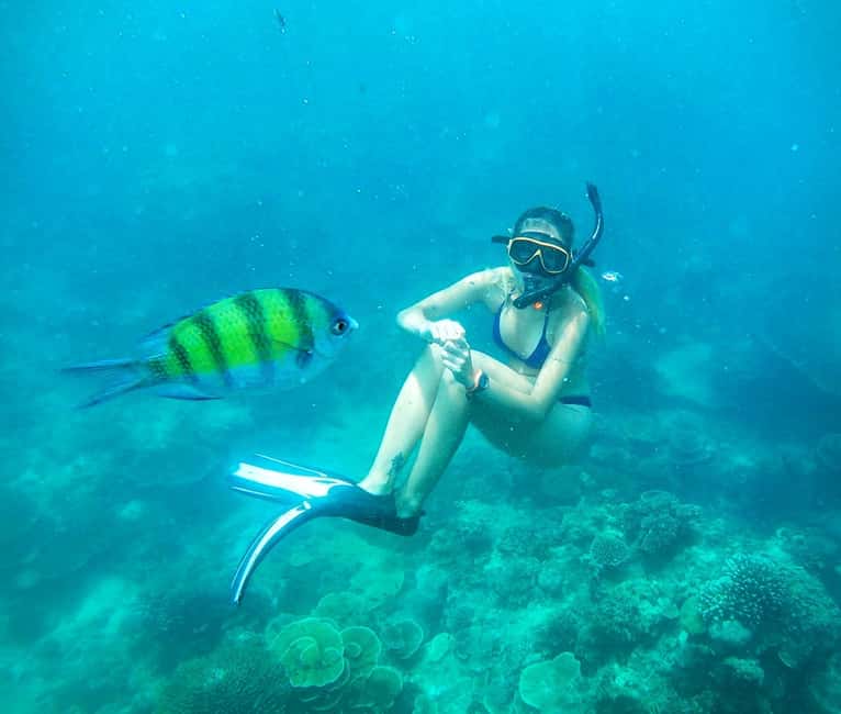 image n.20 of Koh Pha Ngan: Koh Tao & Nang Yuan Tour with Snorkel, Lunch activity in Gulf of Thailand, uploaded by supplier