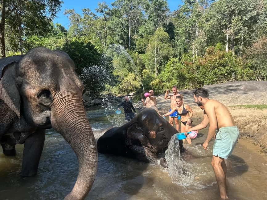image n.20 of Chiang Mai: Elephant Sanctuary, Waterfall & Bamboo Rafting activity in Chiang Mai, uploaded by supplier