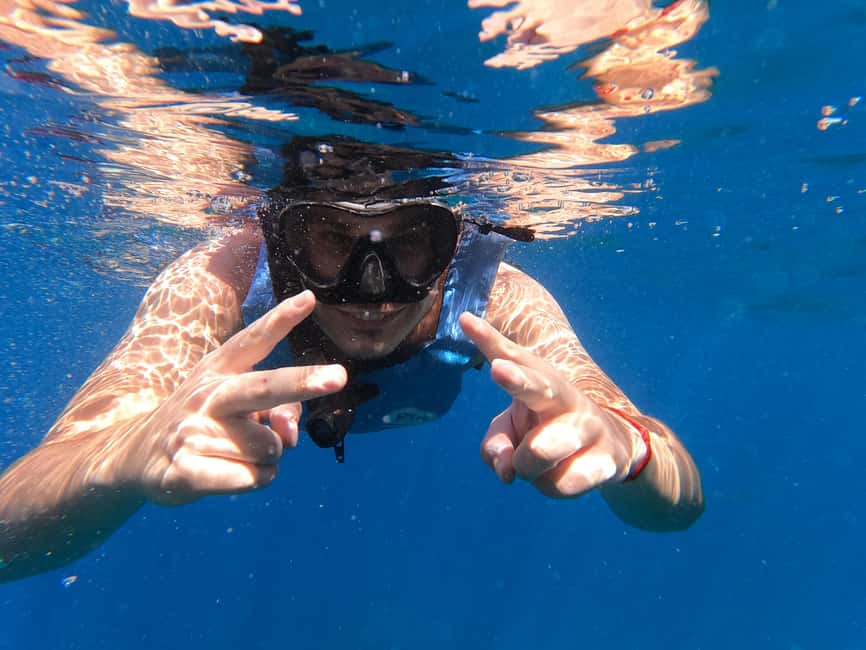 image n.38 of Tenerife: Kayak & Snorkel with Turtles & Dolphins w/Photos activity in Los Cristianos, uploaded by supplier