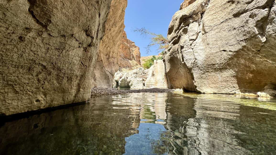 Immagine nº 13 di Muscat: Tour del deserto e del Wadi Bani Khalid con opzione Quad Bike attività a Regione al-Sharqiyya, caricata dal fornitore