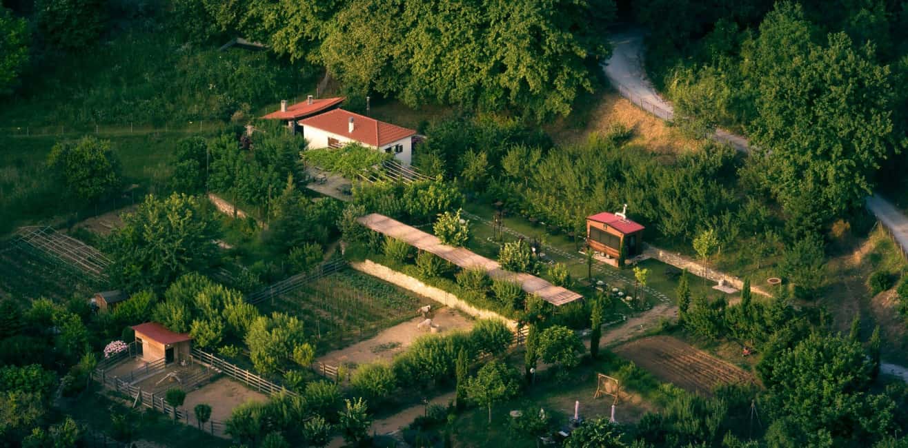 image n.11 of Pelion Private Nature Experience : Farm-to-Table Cooking activity in Thessaly, uploaded by supplier