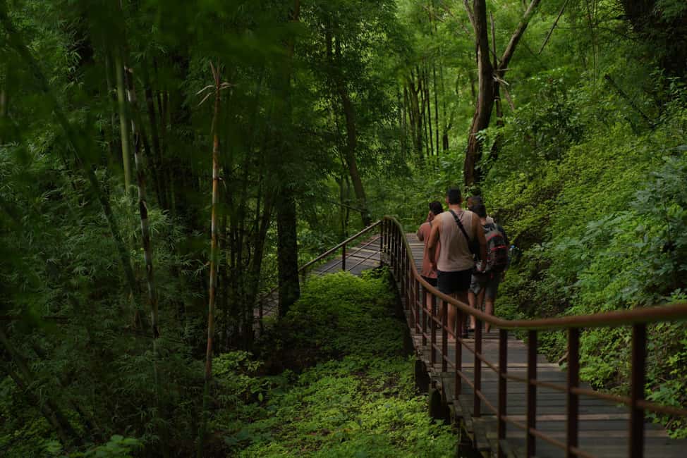 image n.8 of Chiang Mai: Bua Thong Sticky Waterfall and Huge Cave Tour activity in Chiang Mai Province, uploaded by supplier