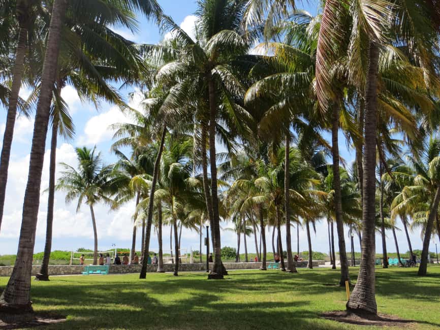 image n.9 of Miami Beach: 1-Hour Segway Glide activity in Miami, uploaded by supplier