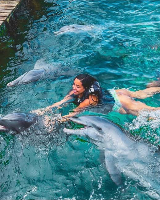 image n.1 of Caribbean Getaway: Rosario- Barú- Oceanarium & Tierra Bomba activity in Cartagena, uploaded by supplier