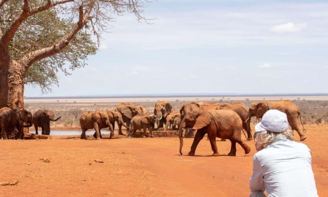 image n.37 of 2-Days Wildlife Safari to Tsavo East & Tsavo West Park activity in Coast Province, uploaded by supplier
