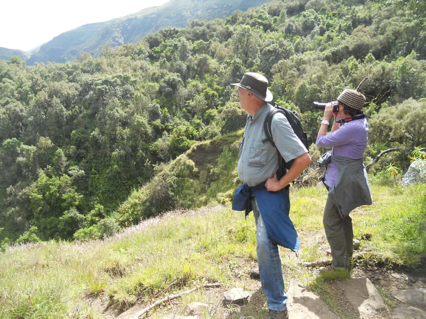 image n.1 of Simien Mountains One Day Trip:Wildlife Spotting,Hiking Tour activity in Amhara Region, uploaded by supplier