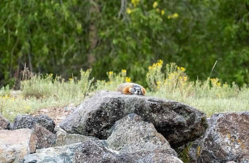 image n.6 of Jackson Hole: Snake River Scenic Float Tour with Chairs activity in Wyoming, uploaded by supplier