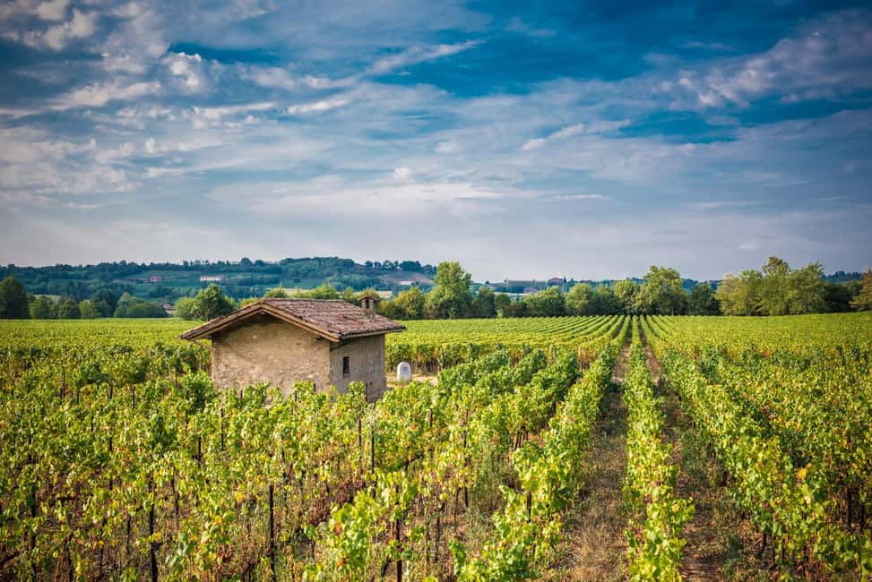 Obraz nr 7 z atrakcji Z Bergamo: Wycieczka do winiarni we Franciacorta z lunchem w Lombardia, przesłany przez organizatora