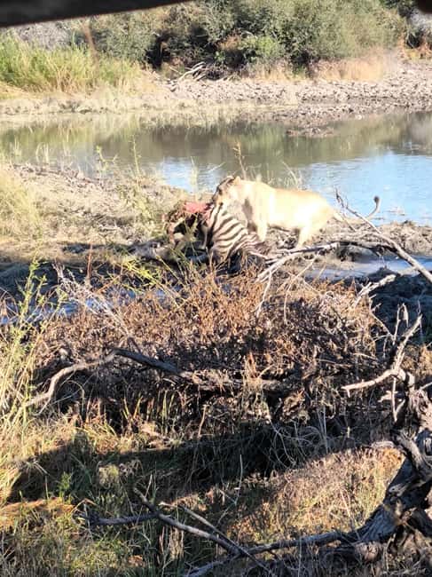 image n.26 of Etosha National Park: Full or Half-Day Game Drive activity in Oshikoto Region, uploaded by supplier