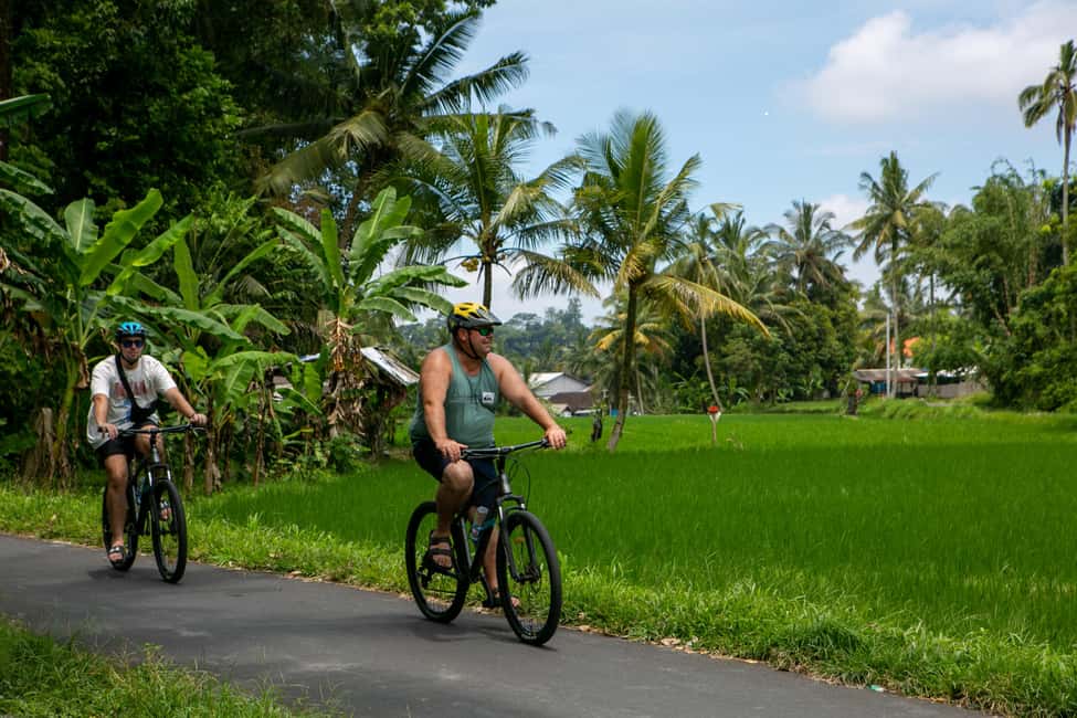 image n.13 of Ubud: Downhill Cycling with Volcano, Rice Terraces, and Meal activity in South Batur, uploaded by supplier