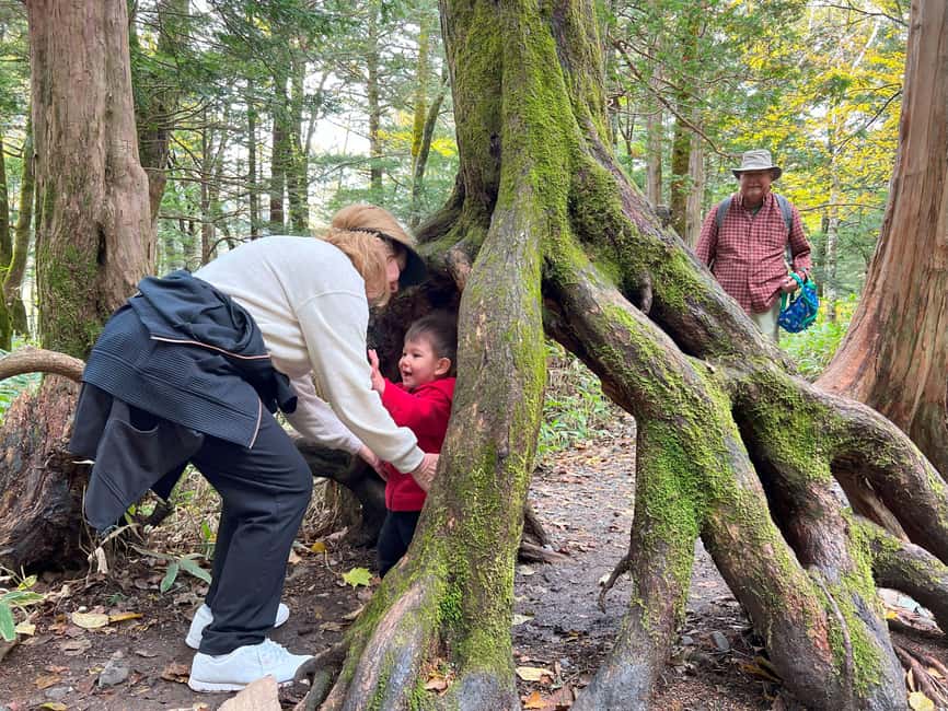 image n.3 of Nagoya: Japanese Alps "Kamikochi" One-Day Round-trip Tour activity in Nagoya, uploaded by supplier