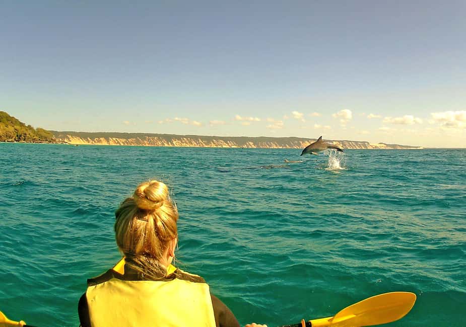 Image N°24 de Excursion en kayak à la rencontre des dauphins et visite du parc national en 4X4 sur la plage (privée) activité à Région de Gympie, publiée par le prestataire