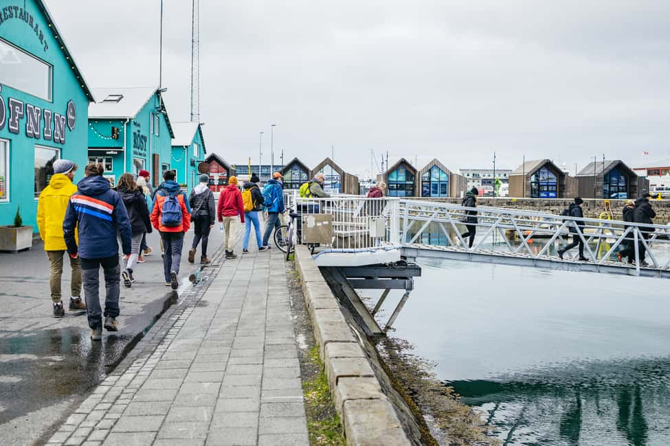 image n.6 of Reykjavik: Puffin Watching Boat Tour activity in Western Region, Iceland, uploaded by supplier