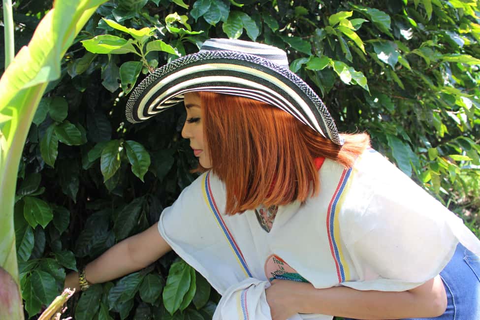 image n.6 of Medellin: Coffee Tour with Hotel Transfers and Meals activity in Medellin, uploaded by supplier