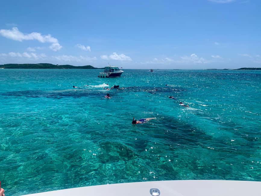 Image N°9 de Nassau : Découvrez l'île d'Exuma et nagez avec des cochons. activité à Exumas, publiée par le prestataire