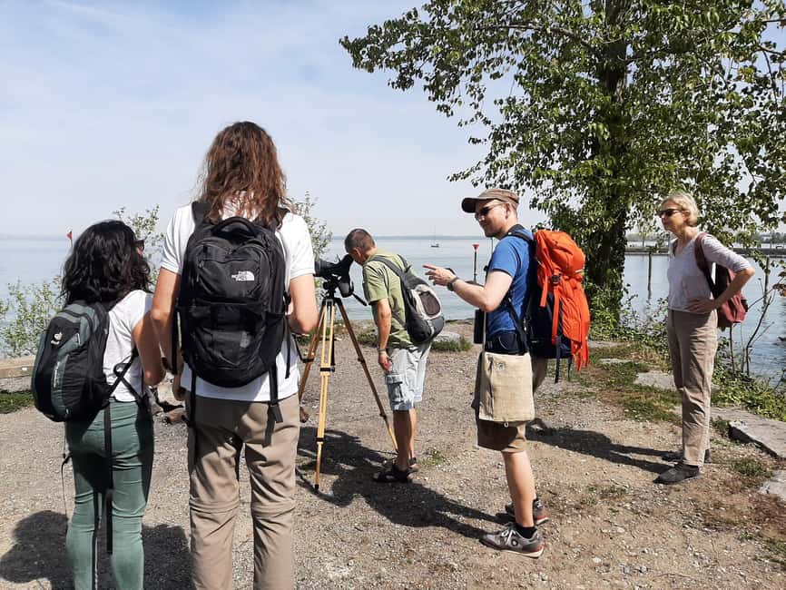 image n.4 of Switzerland: Private nature safari with local guide. Discover the Alps, lakes, and more. activity in Lucerne, uploaded by supplier
